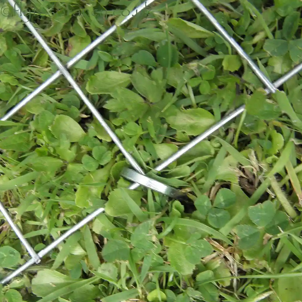 Details of the weldmesh on the ground