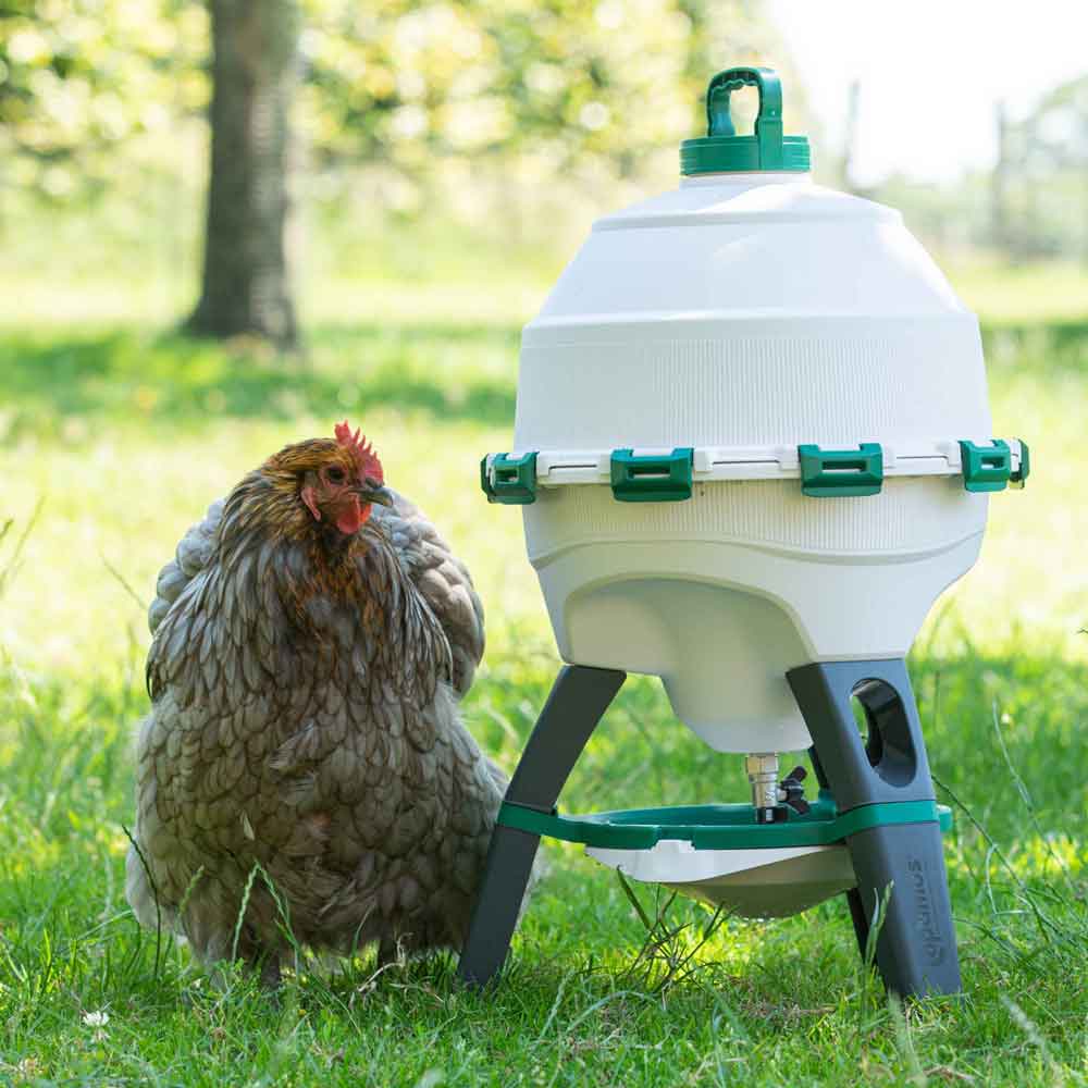 Optimus Tripod Poultry Drinker, 25 Litre - NEW!