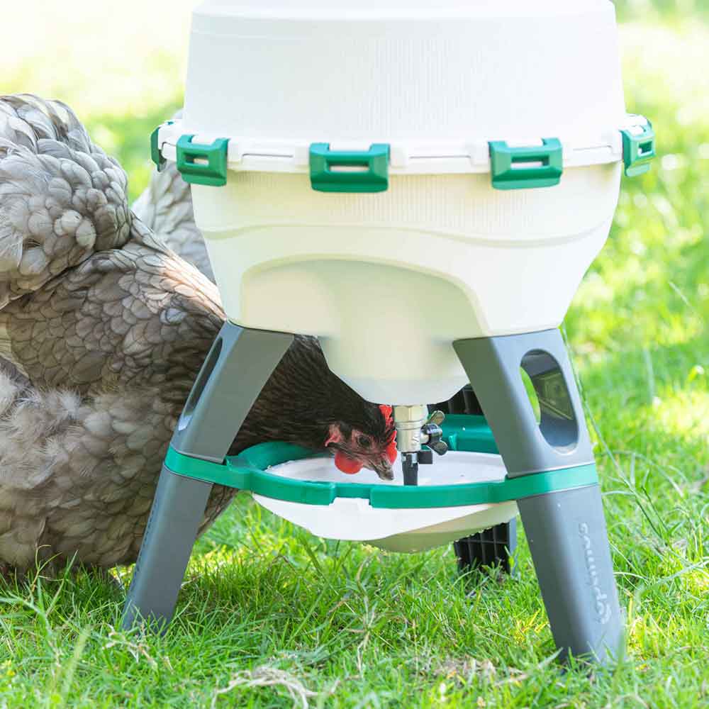 Optimus Tripod Poultry Drinker, 25 Litre - NEW!