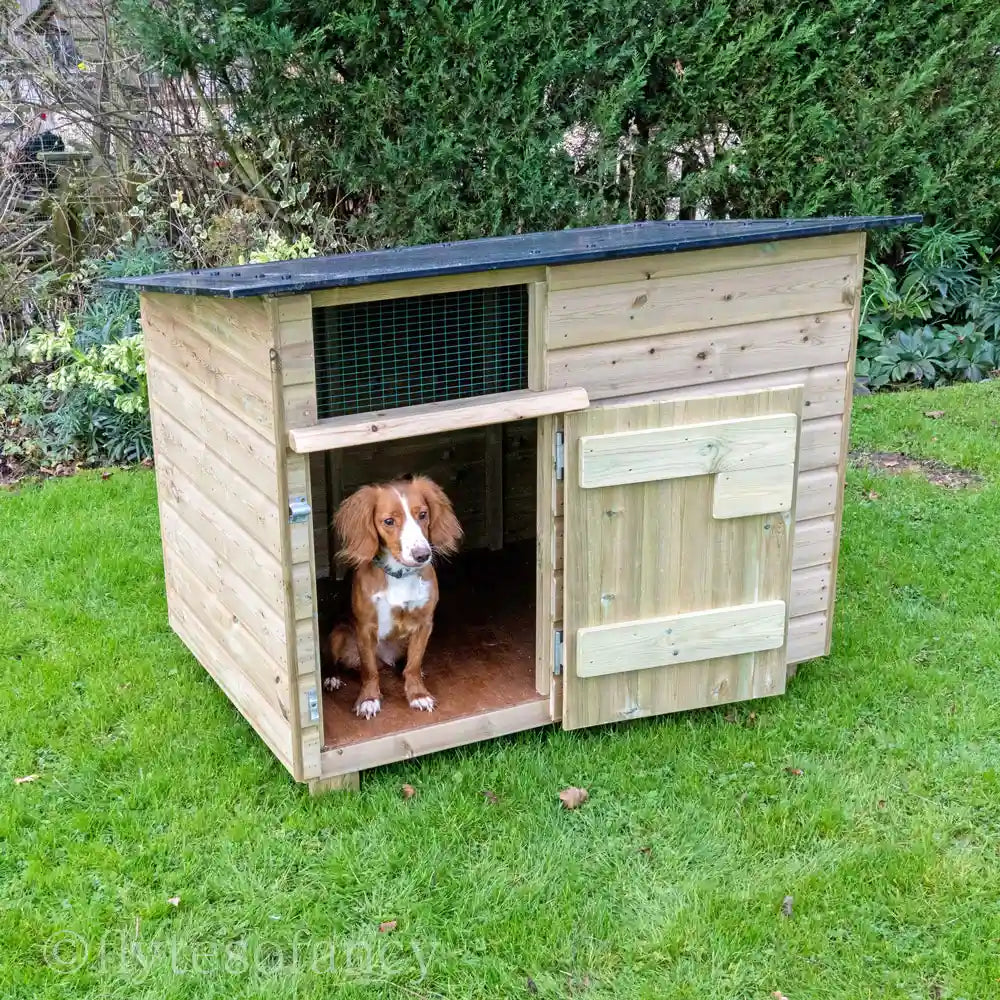 Outdoor Dog Kennel - door open