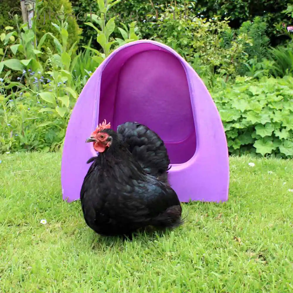 Poultry Palace Sheltered Nester with Pekin bantam