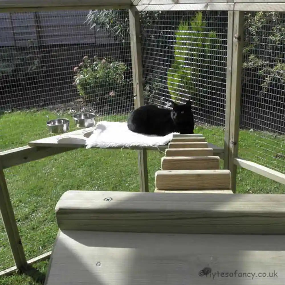 Corner Ramp in Outdoor Cat Play Pen