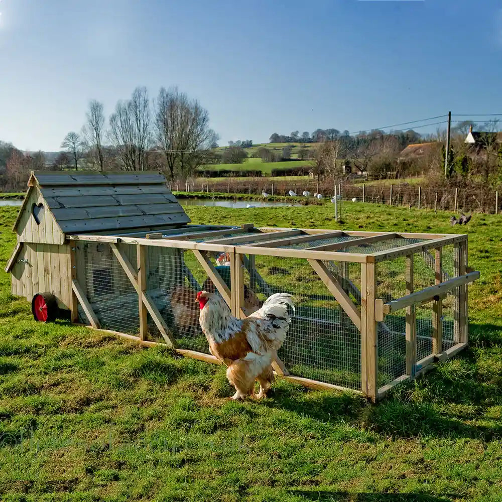 Dorset Ranger Ten Chicken Coop