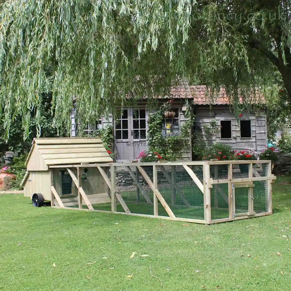 Dorset Ranger Ten Chicken Coop under the willow tree