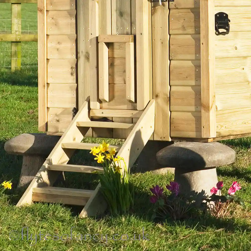 Steps and pop-hole of Granary 8 Hen House