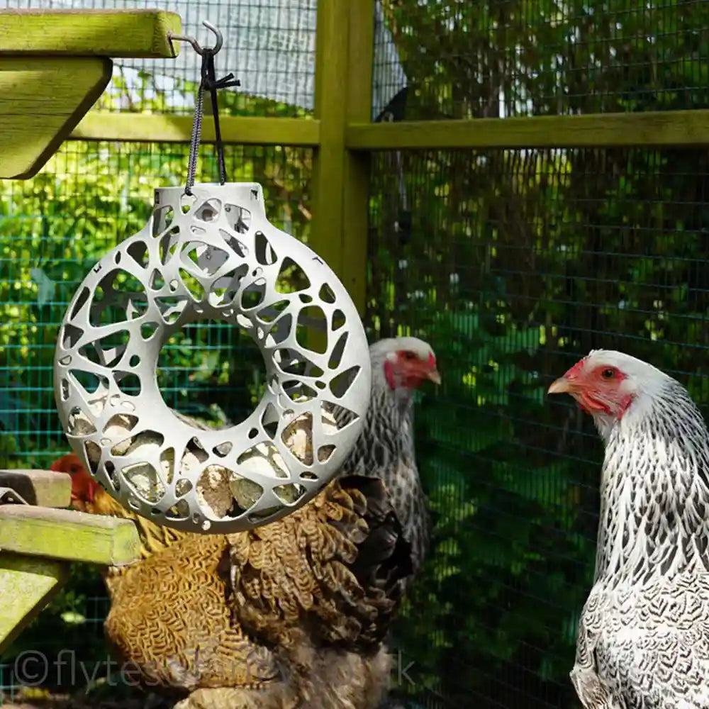 Yara Recycled Pecking Ball Feeder Ring with Brahmas