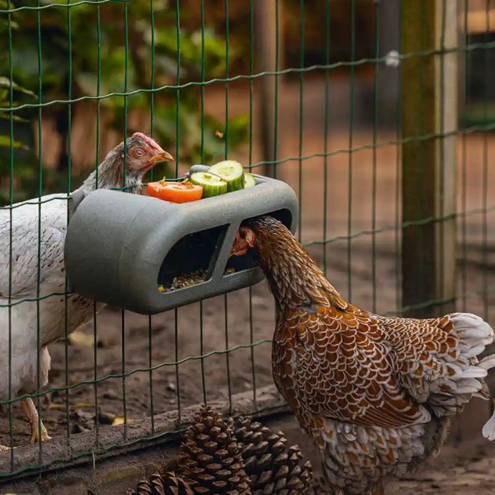 Beeztees Recycled Plastic Chicken Feeder - NEW!