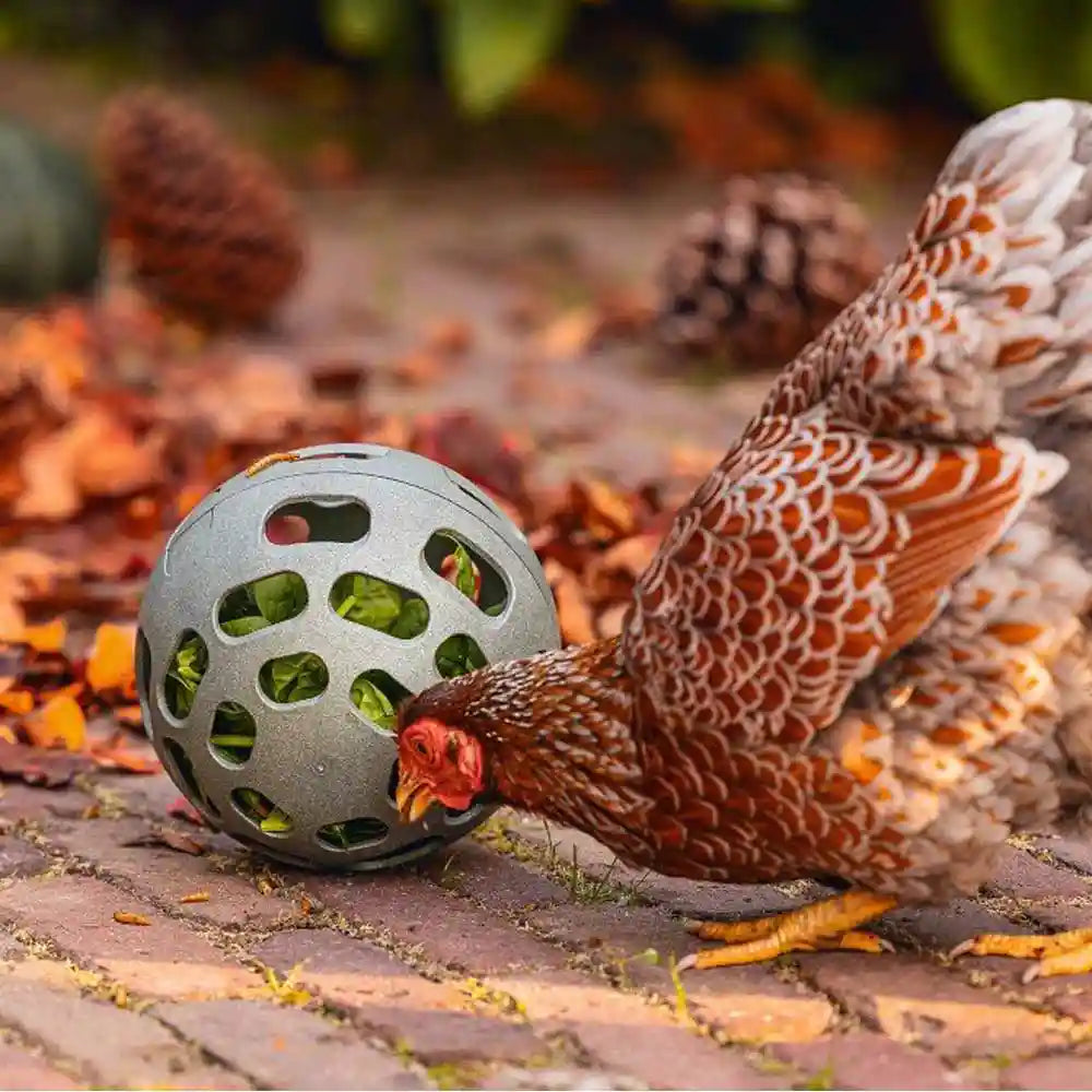 Beeztees Recycled Plastic Chicken Snackball