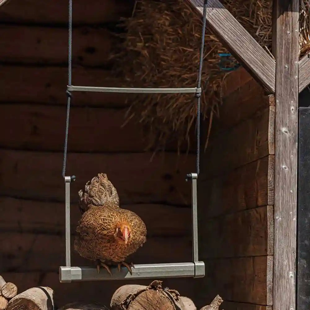 Beeztees Recycled Chicken Swing