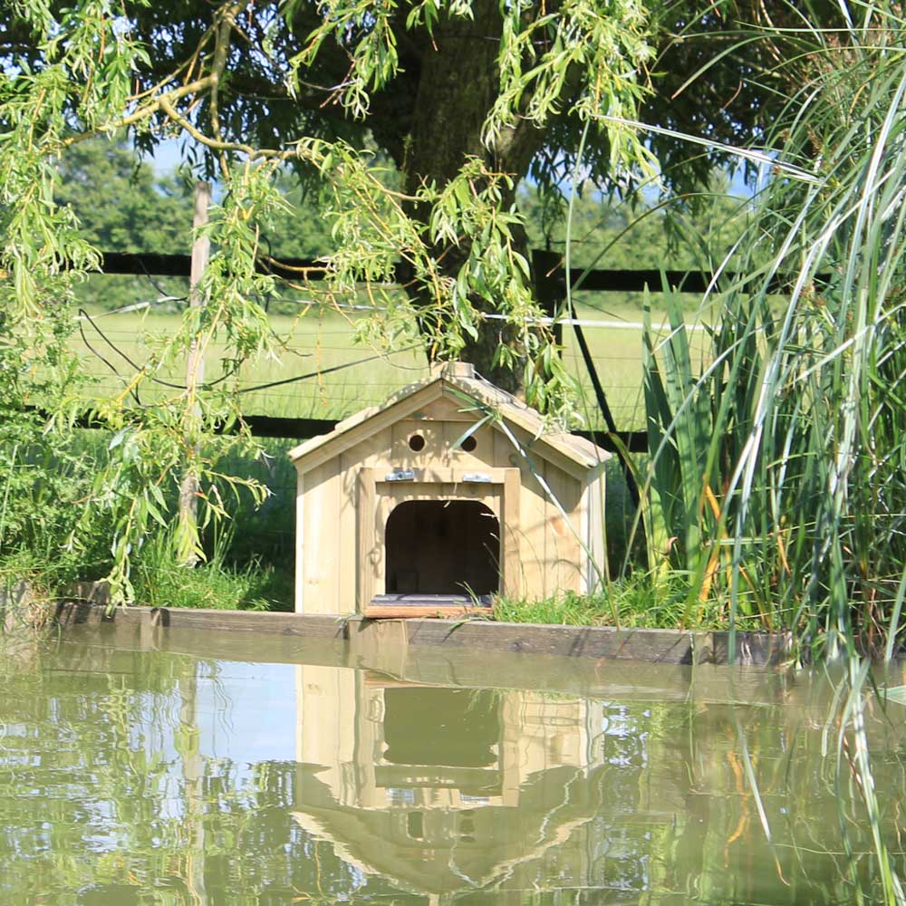 Small Dinky Duck House by the pond
