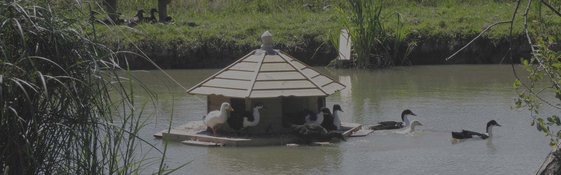 Flyte so Fancy Floating Duck Lodge