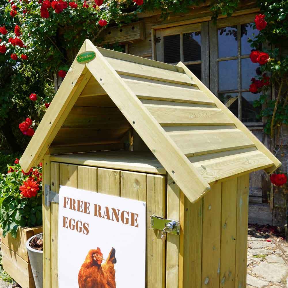 Egg Selling House