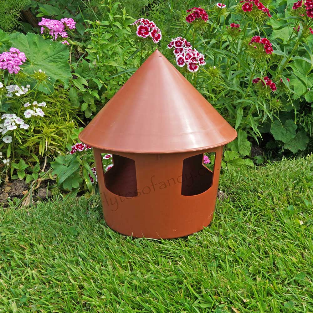 Brown Pigeon Feeder or Grit Feeder