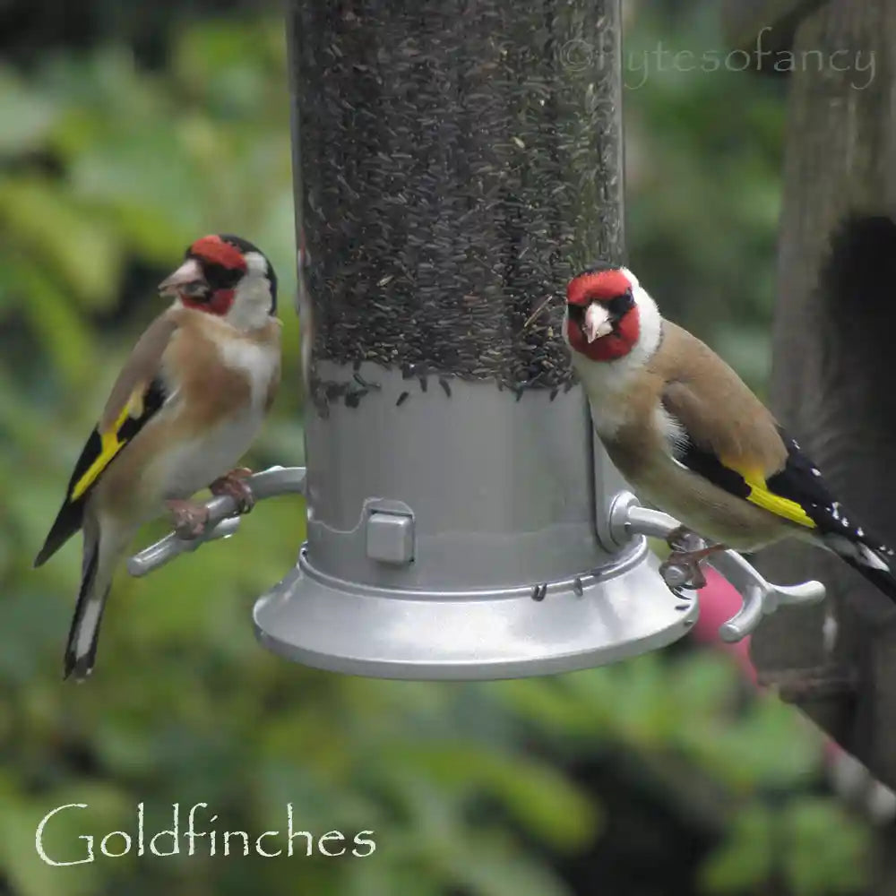 Copdock Mill Nyjer Seed, 2kg bag