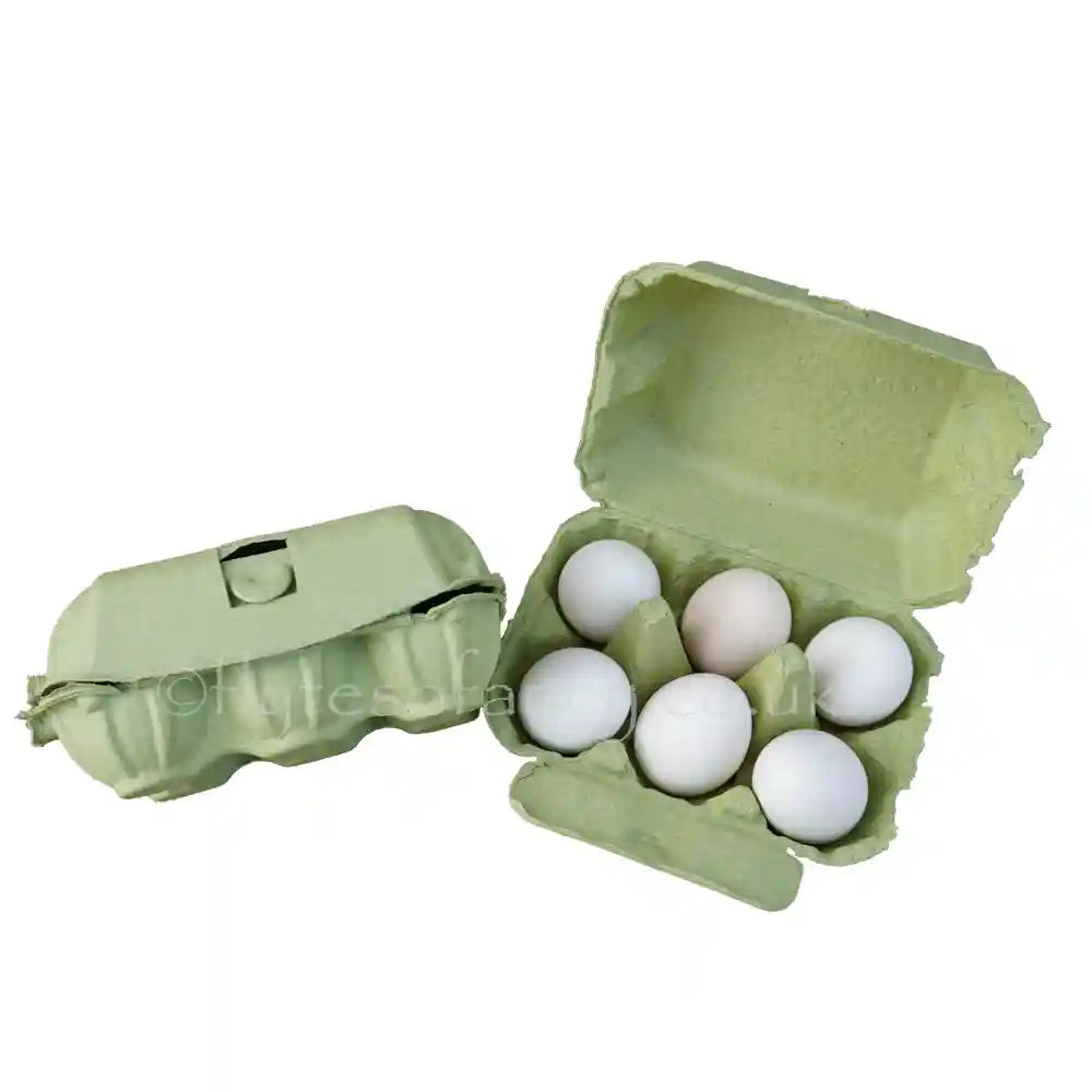 Coloured Egg Boxes, Spring Green