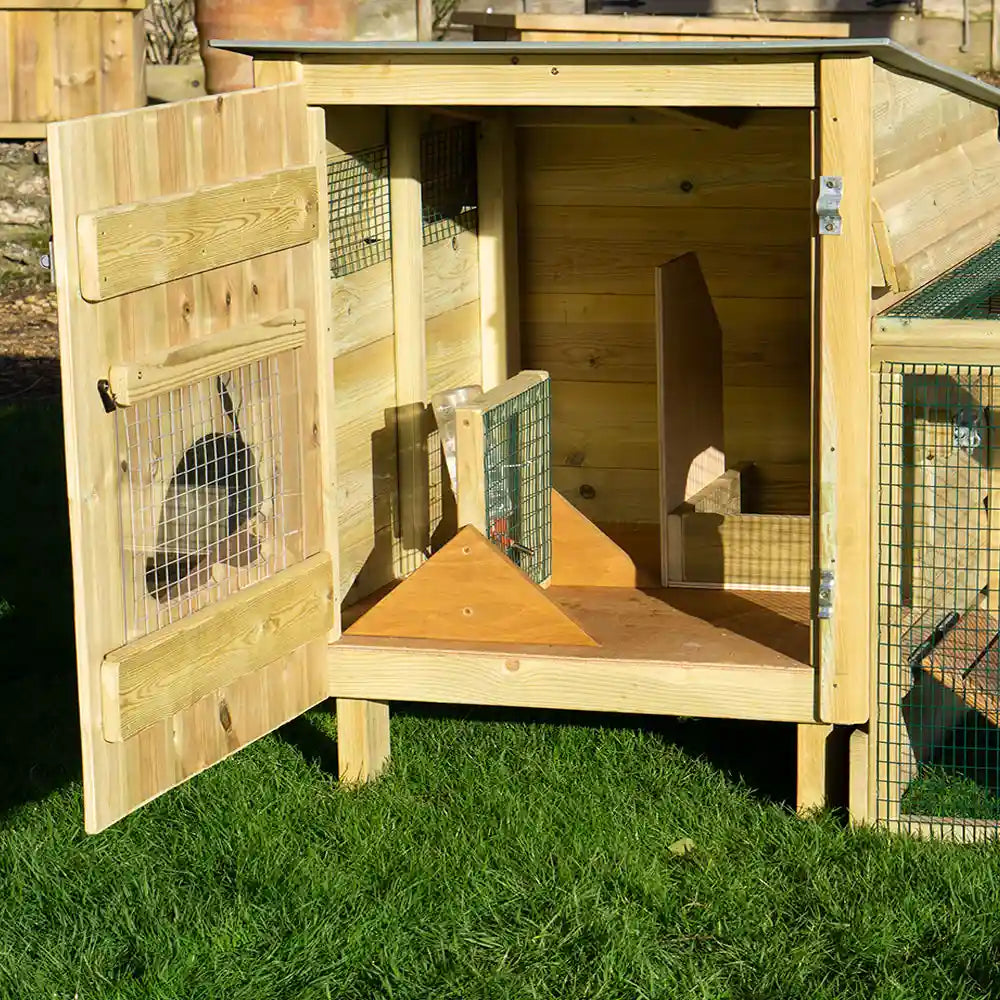 Inside the Hoppity Rabbit Hutch