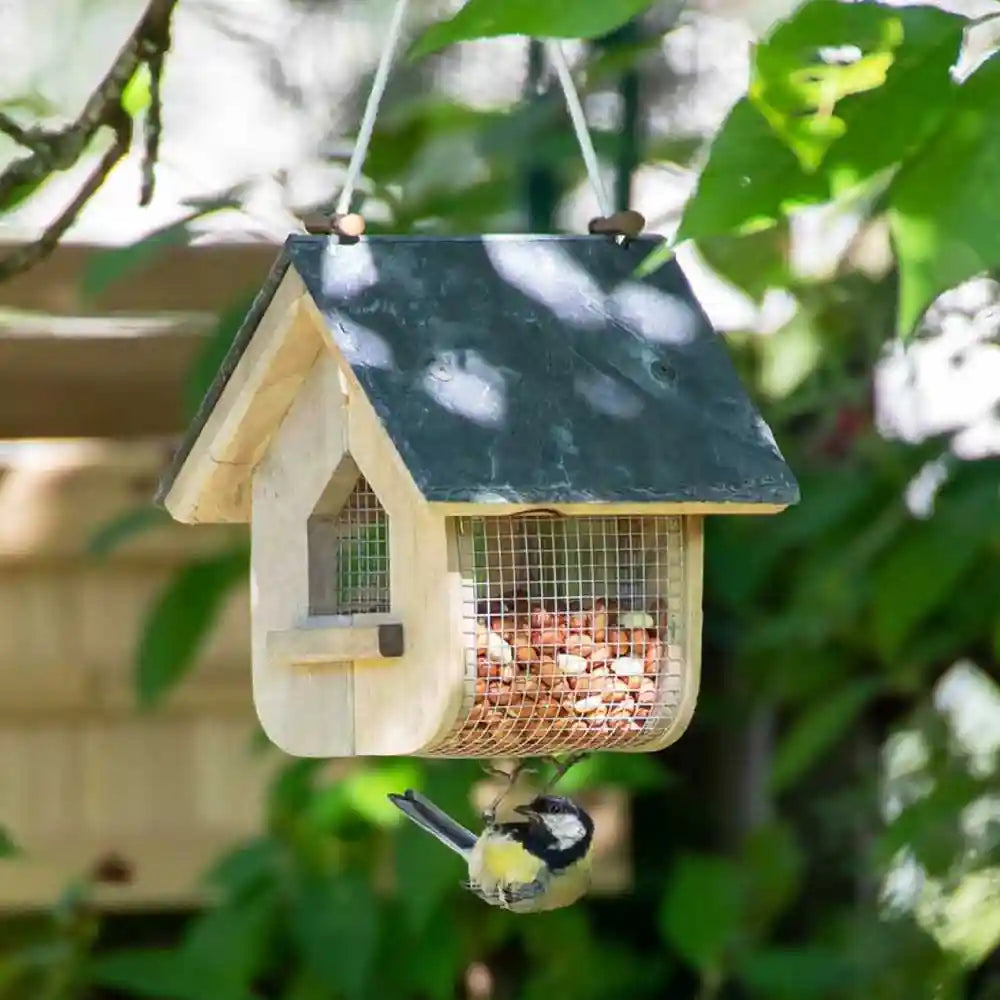 National Trust Jupiter Slate Peanut Feeder