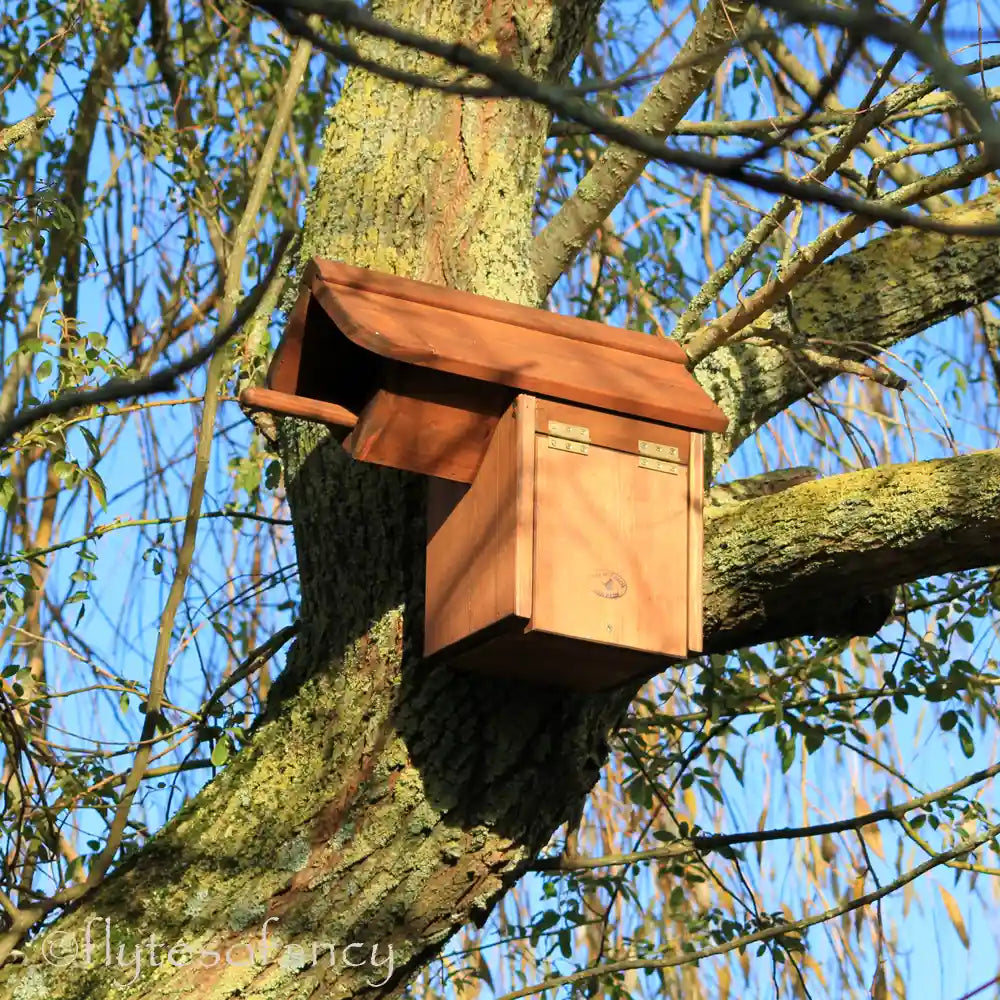 Flyte Little Owl Nesting Box mounted in a tree