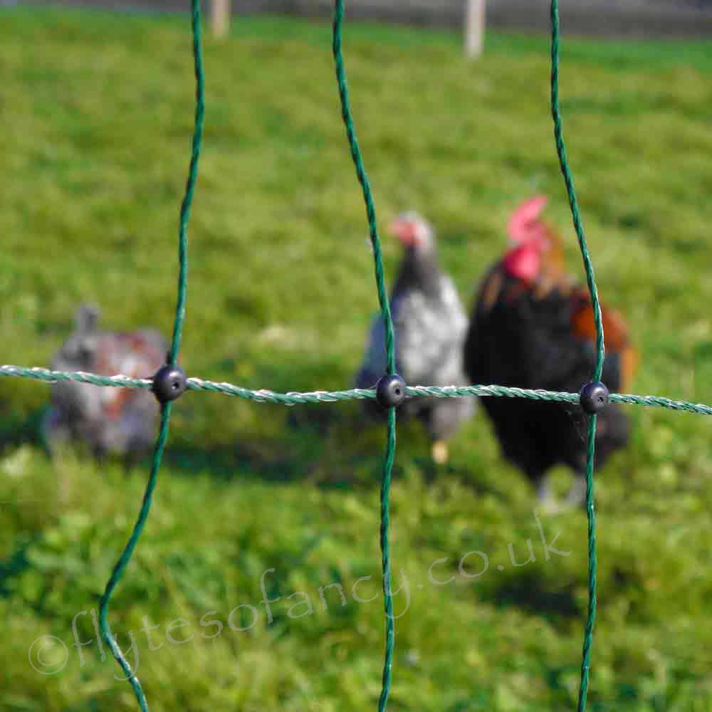 Hotline Green Electric Poultry Netting