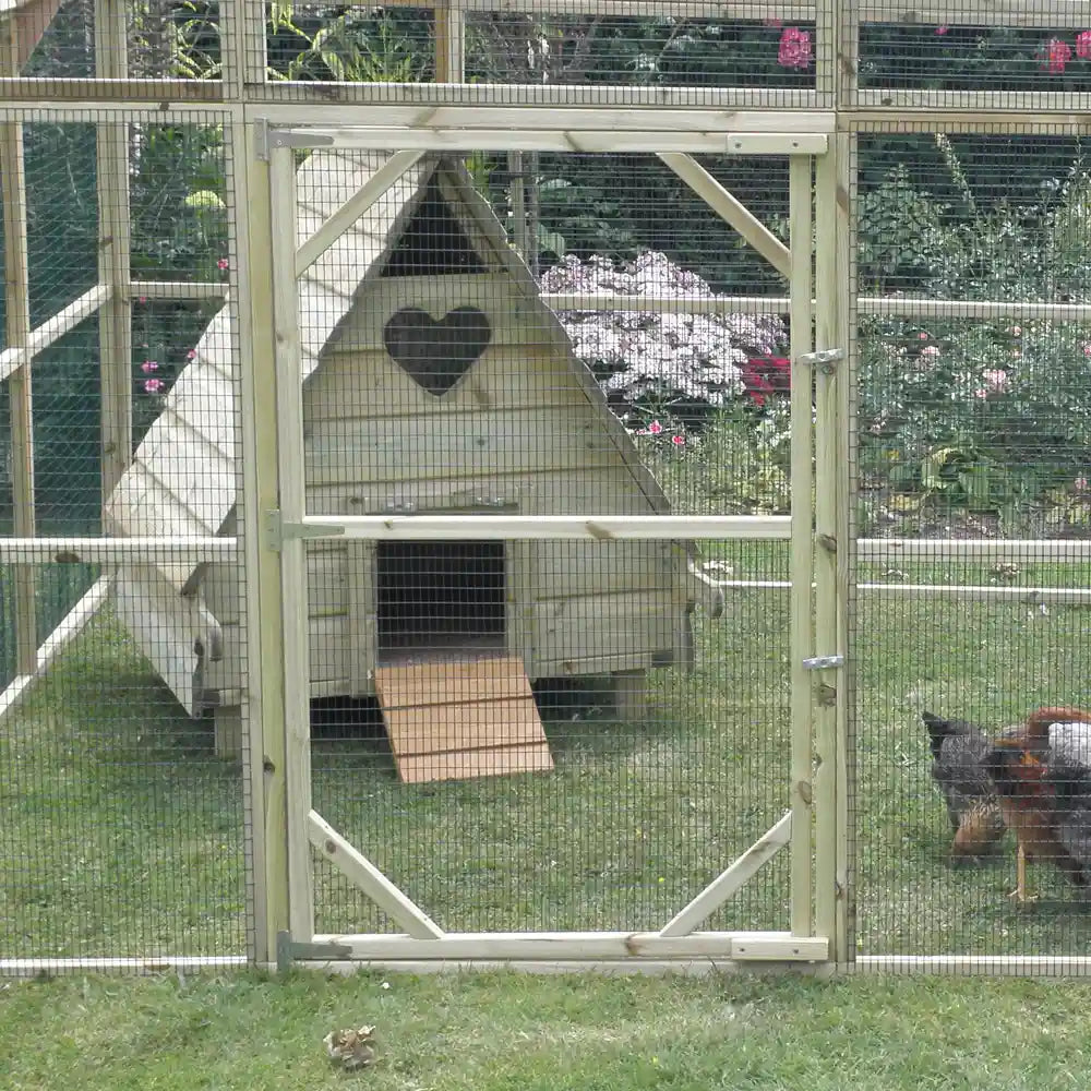 X-Large 100ft X 100ft All Seasons Bird Netting For Poultry Aviary Pen - 2 Hole