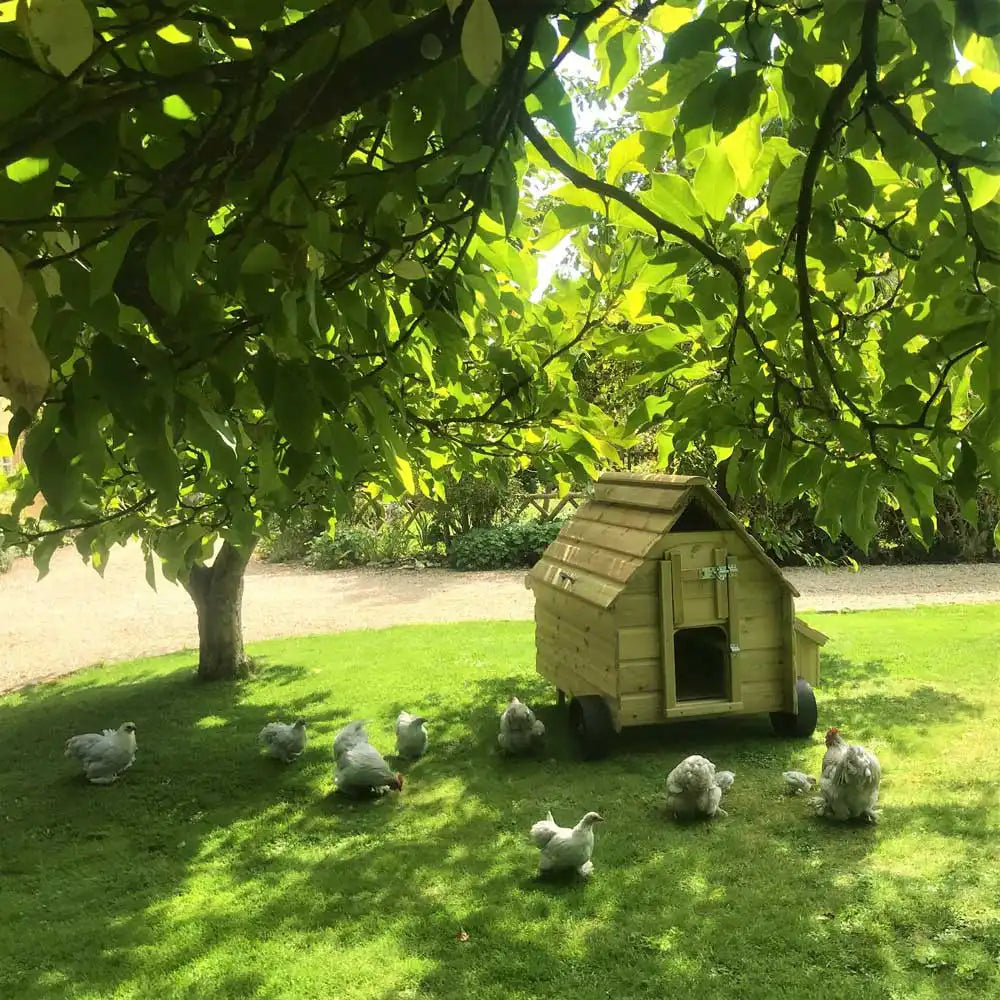 Dorset Stroller Chicken Coop - Vertical Door - No Heart Window