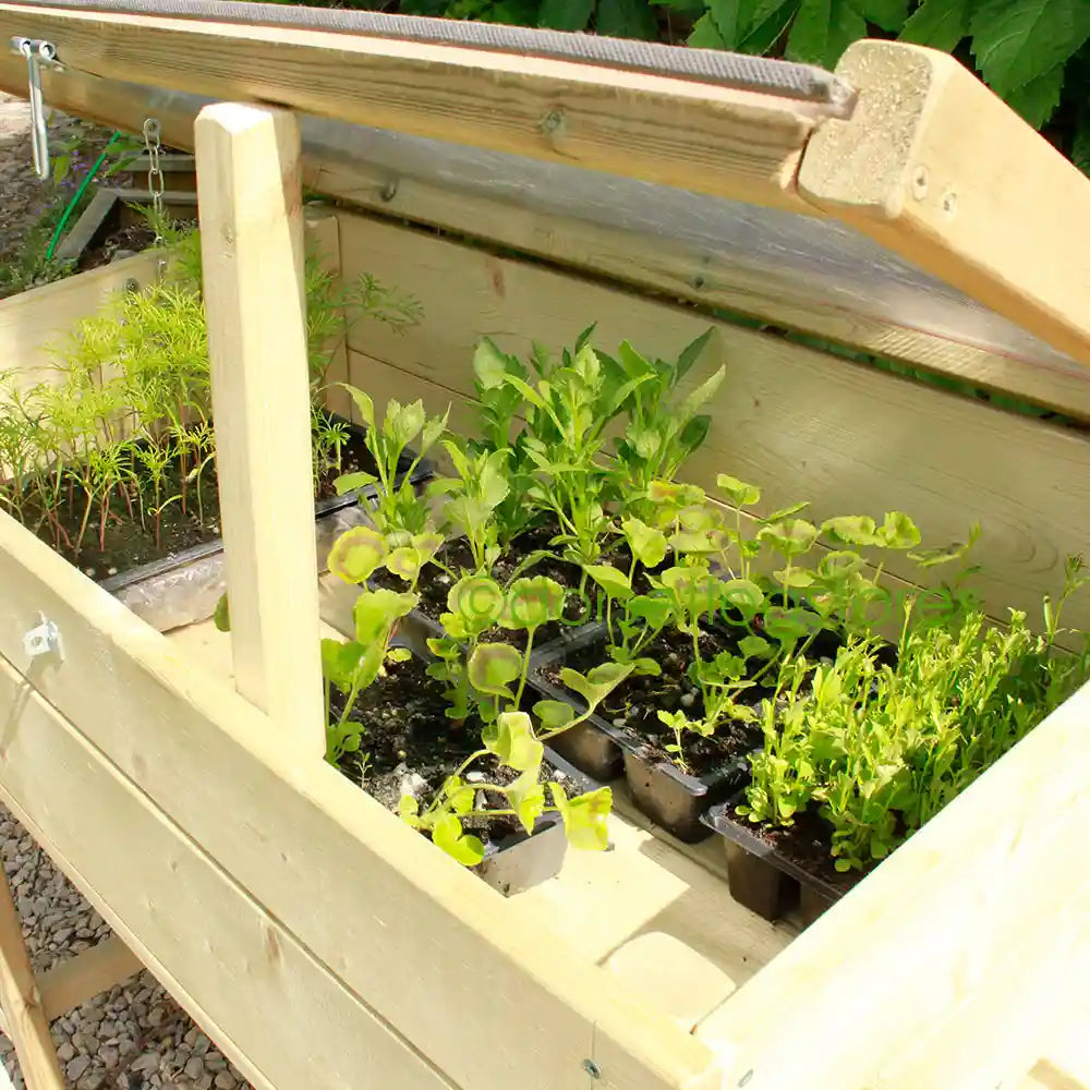 Inside the Tall Cold Frame on Legs