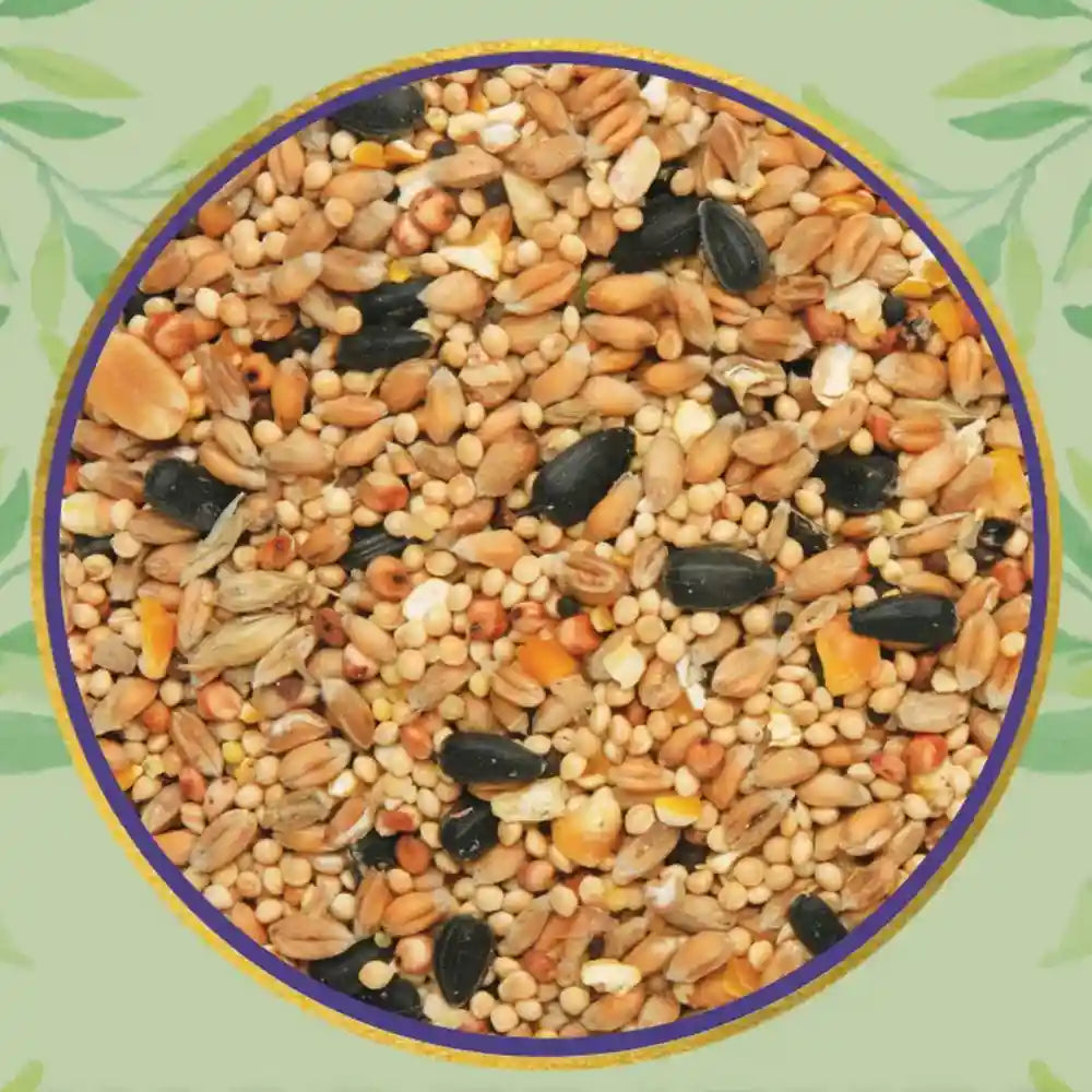 Wild Attraction Wild Bird Seed Mix 2.5Kg