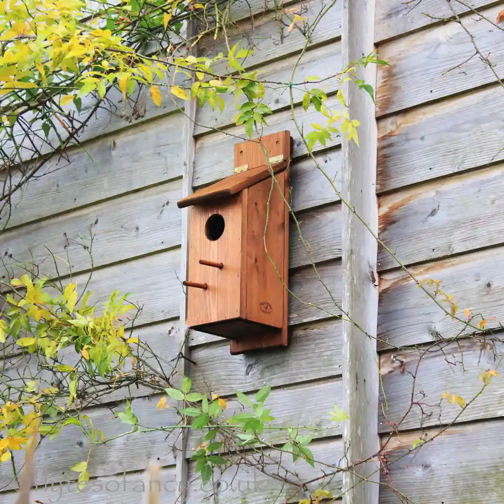 Flyte Woodpecker & Starling Nesting Box on a fence