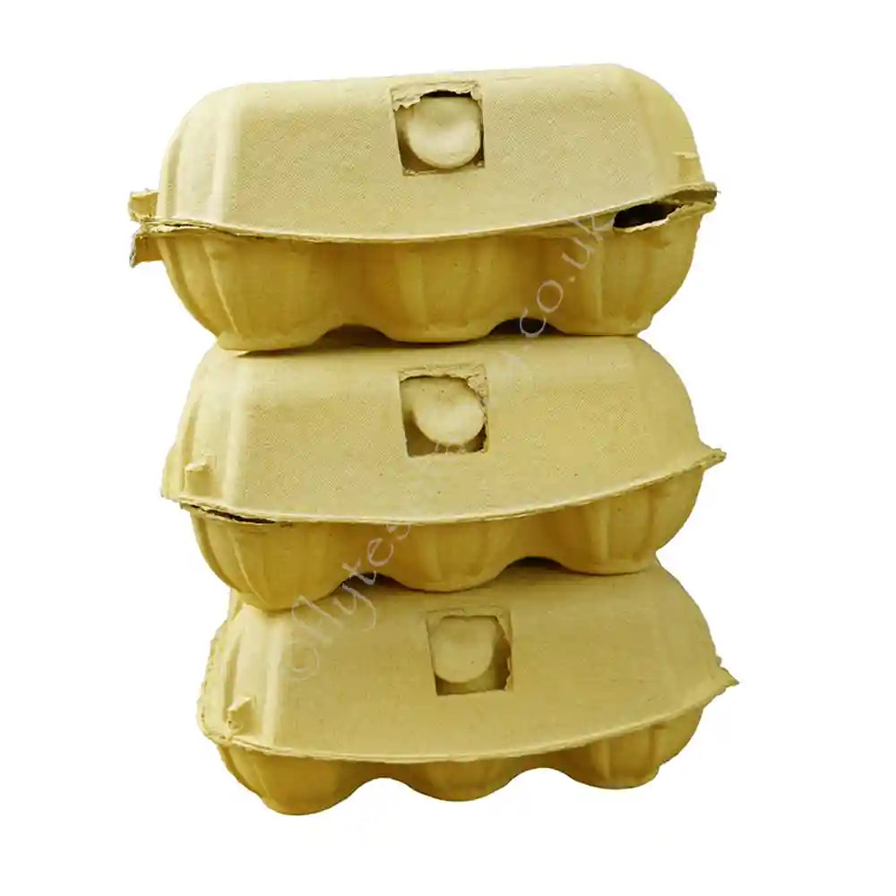 Coloured Egg Boxes, Sunny Yellow