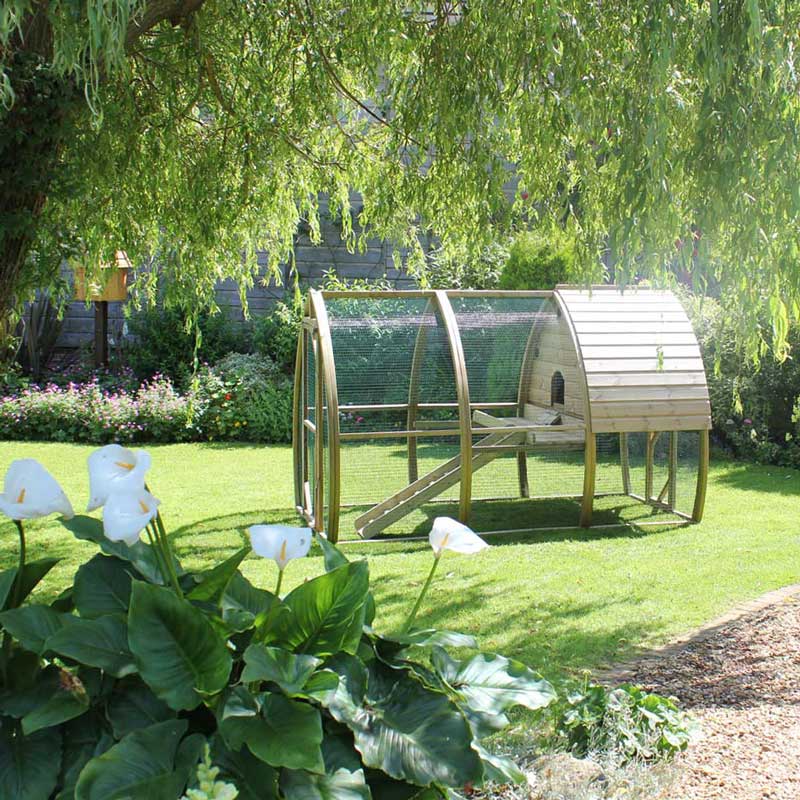 The Arched Rabbit House in the garden