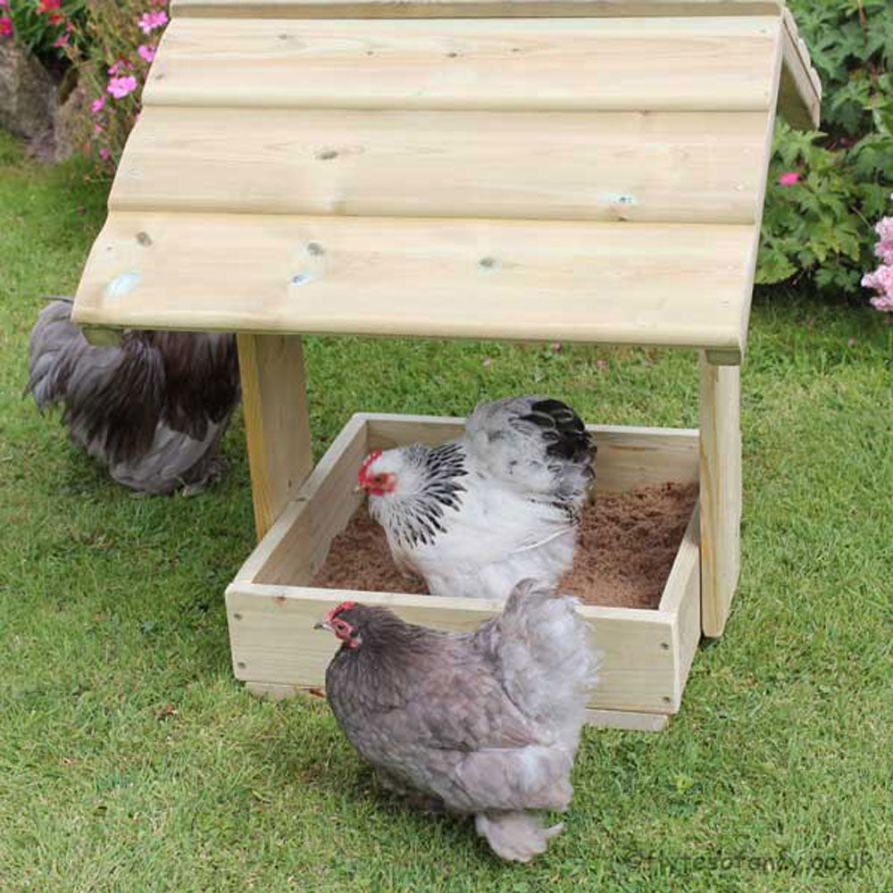 Pekins in the Dustbath