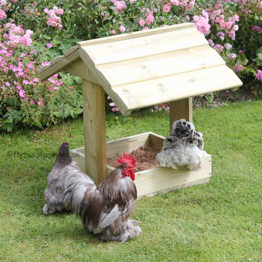 Chicken Dustbath and Feeder Shelter, with Pekins