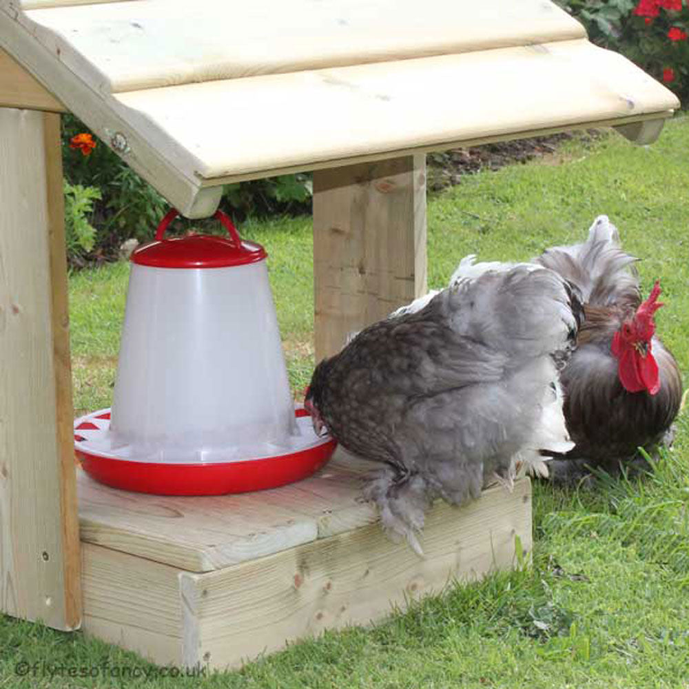 Pekins using the Feeder