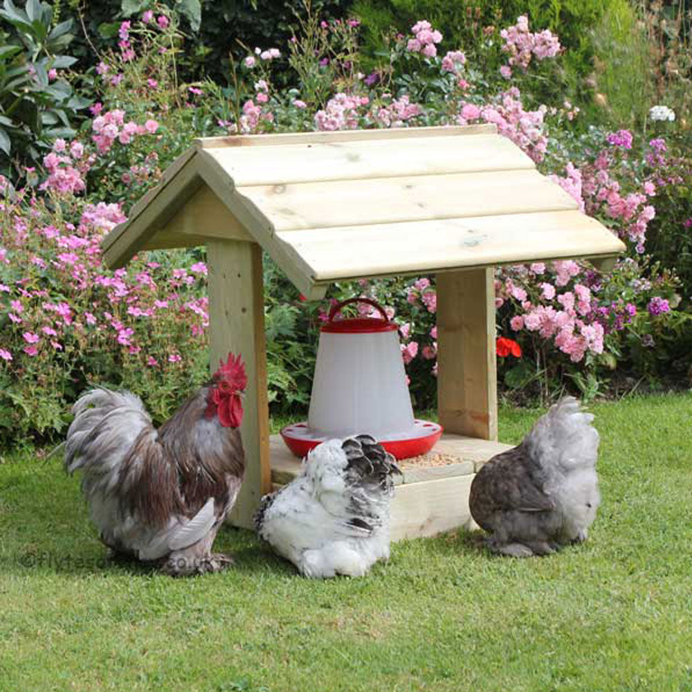 Chicken Feeder Shelter, with Pekins
