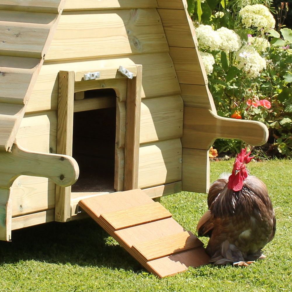 Pop-hole detail Hobby Hen House,