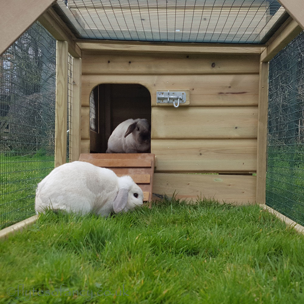 Hoppity Rabbit Hutch & 9ft Run