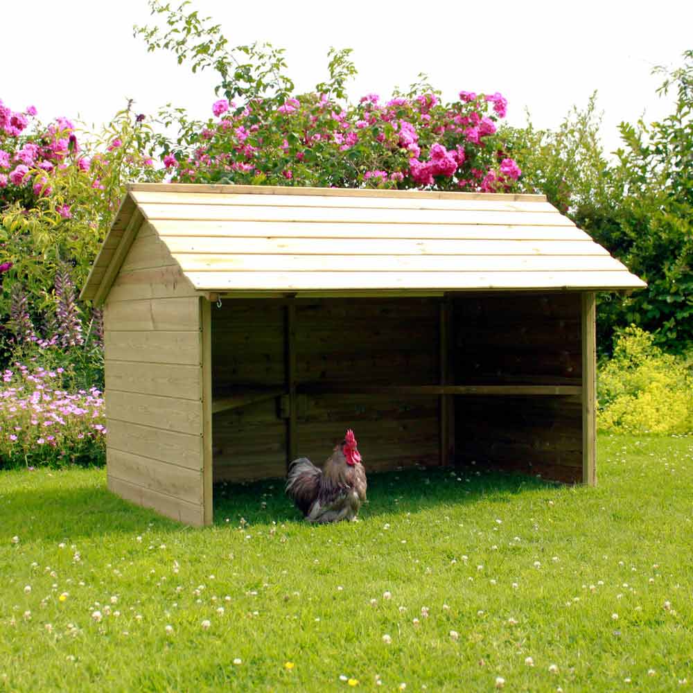 Jumbo Chicken Shelter with Pekin Bantam