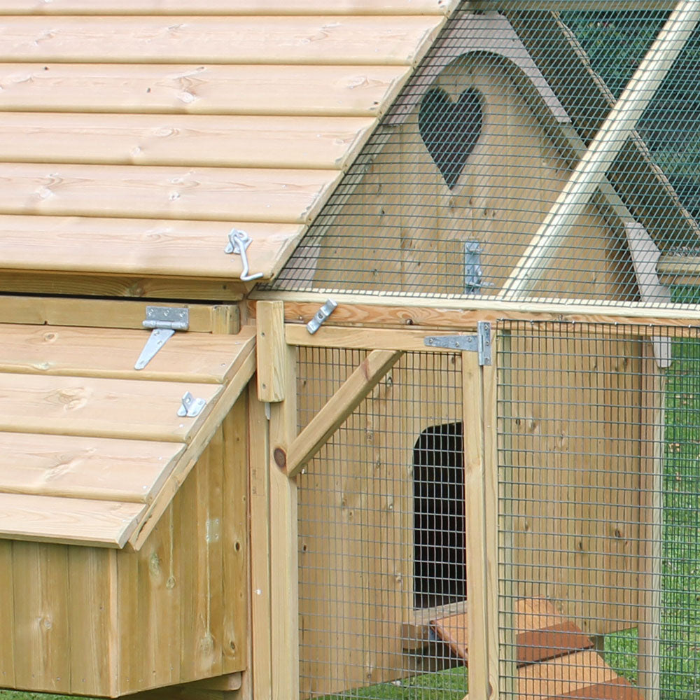 Run fitted to the henhouse