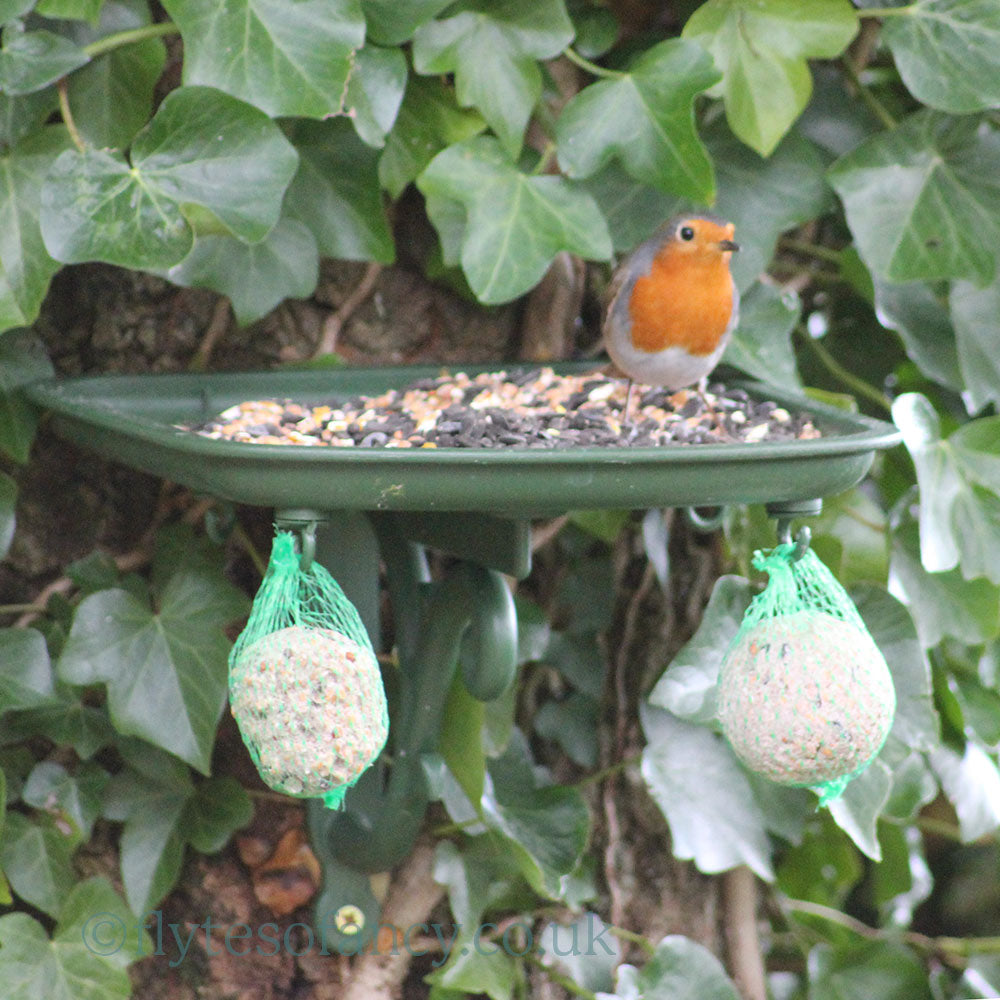 Osprey Green Bird Table Tray with Robin