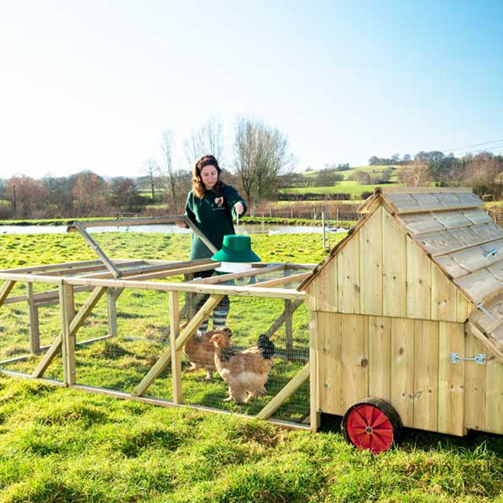 Hanging a feeder in Dorset Ranger Ten Chicken Coop