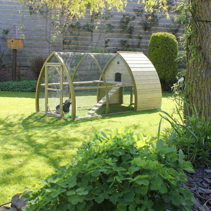 Salisbury Chicken Coop in the garden