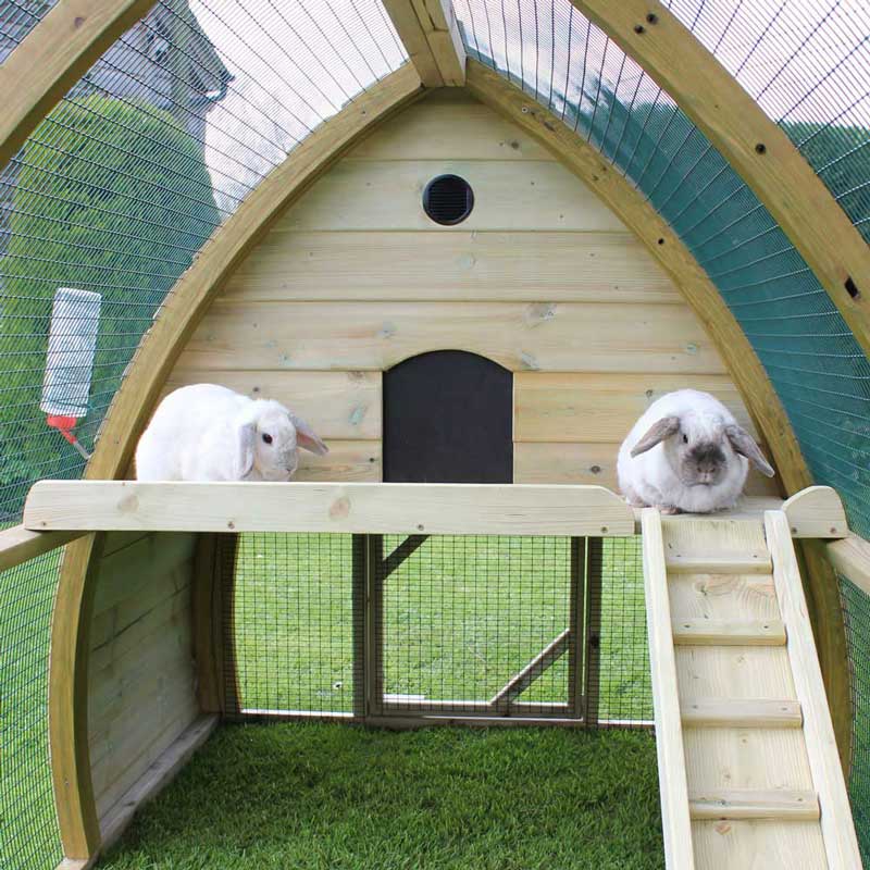 Bunnies on the Sundeck of Salisbury Rabbit House