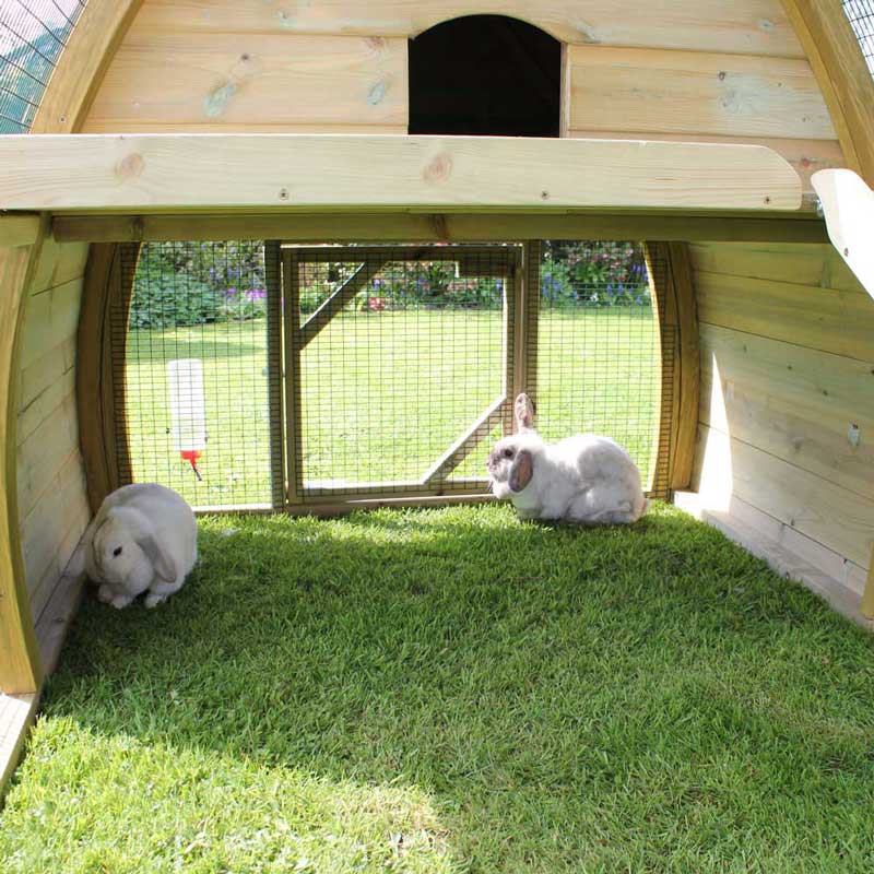Bunnies shading under the Salisbury Rabbit House