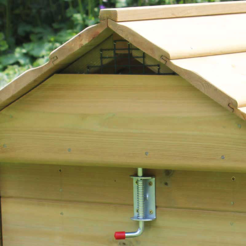 Ventilation of Broody Chicken Coop