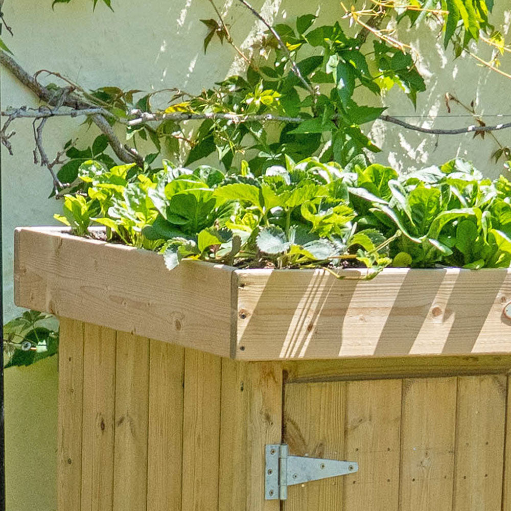 Detail of Living Roof Small Grow-Top Garden Store