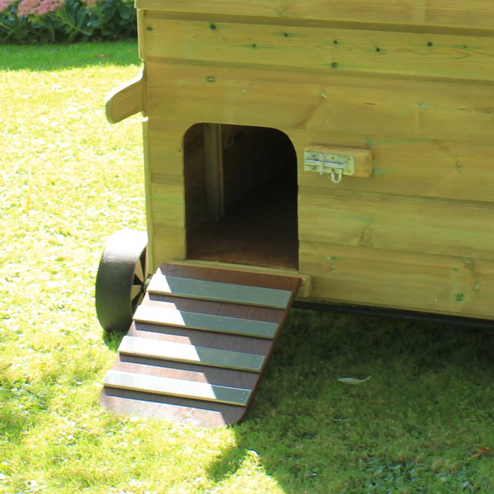 Handy 15 Hen House, pop-hole open