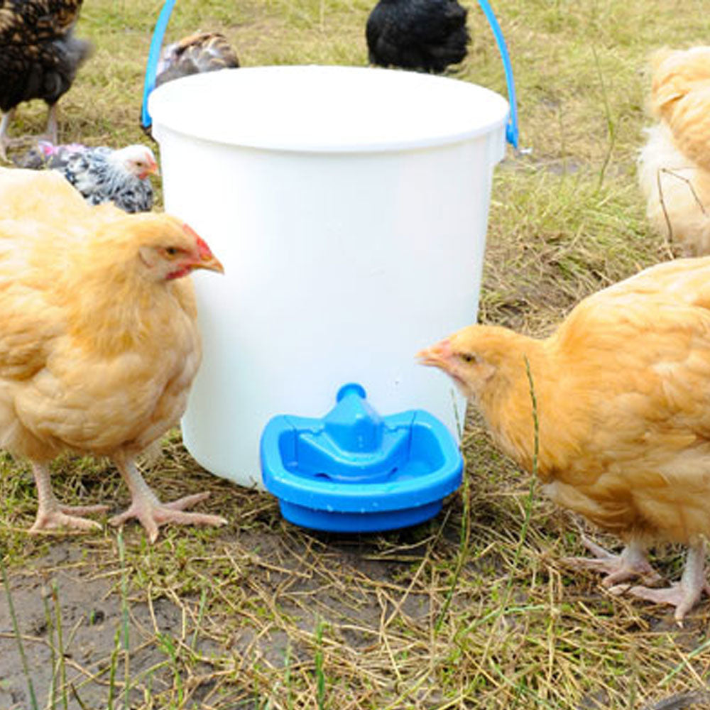 Maxi Cup Chicken Auto Drinker attached to white bucket