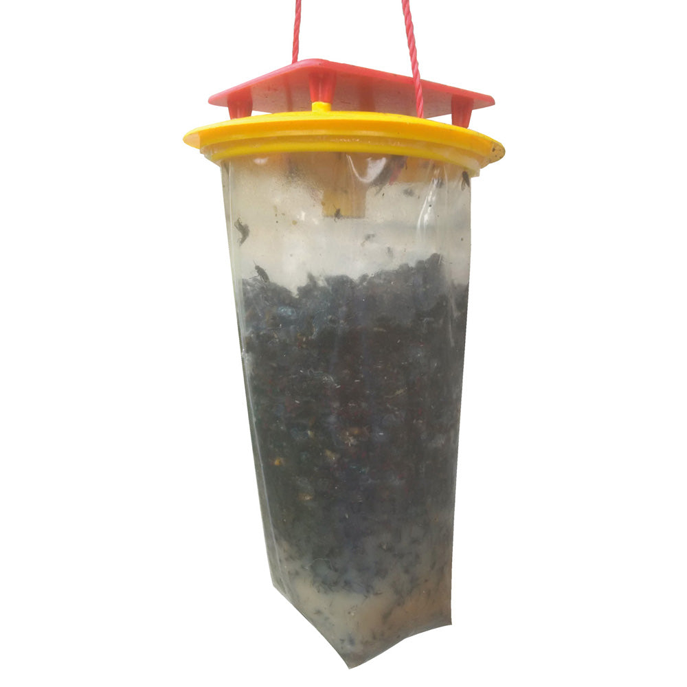 Redtop Mini Fly Trap full of flies