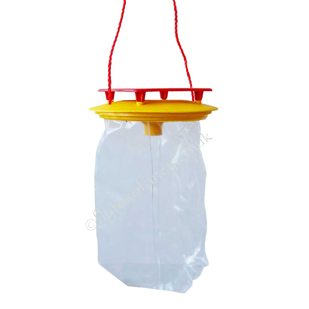 Redtop Mini Fly Trap empty