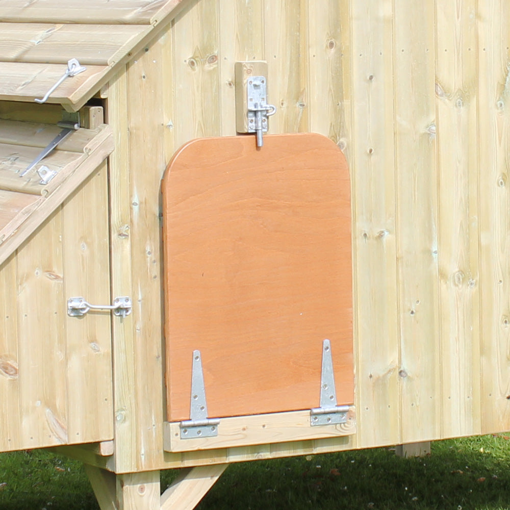Replacement Pop-hole Ramp for Henhouse